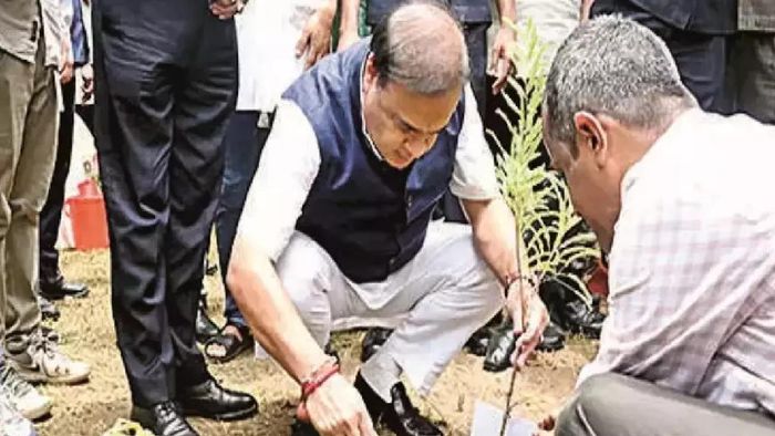 Assam Government to plant one crore saplings on September 17, says CM Himanta Biswa Sarma