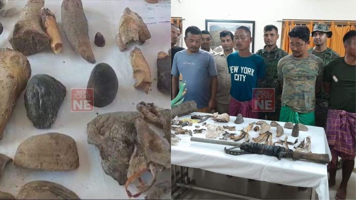 Assam: Five poachers apprehended in Kokrajhar, wild animal parts seized