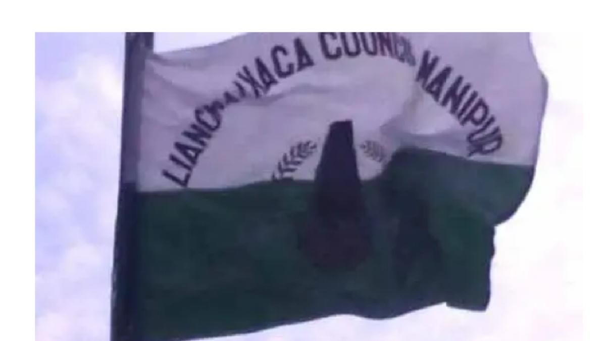 Manipur violence: Kuki militants allegedly involved in extortion and harassment in Kangpokpi, claims Naga council