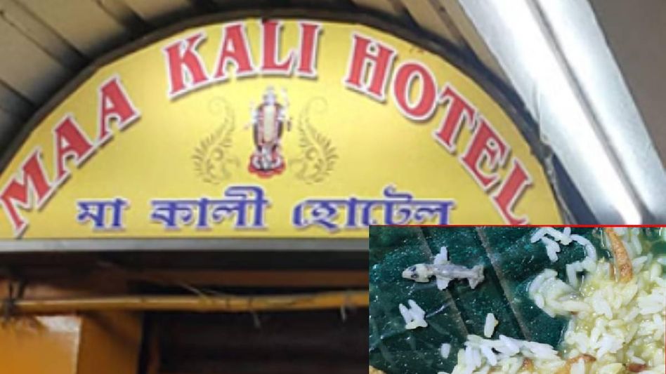 Assam: Tension erupts after customer finds dead lizard in rice thali at Maa Kali hotel in Guwahati Assam: Tension erupts after customer finds dead lizard in rice thali at Maa Kali hotel in Guwahati
