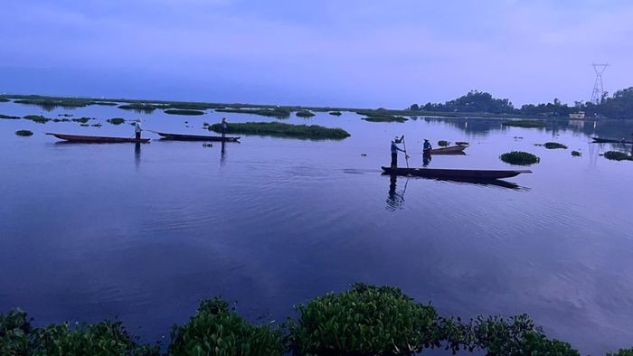 Loktak Development Authority demands urgent action to safeguard Lotak Lake and surrounding ecosystem