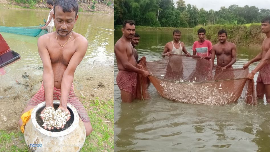 From ice cream vendor to fish cultivation maestro: Sanjib Das' inspirational journey in Tripura From ice cream vendor to fish cultivation maestro: Sanjib Das' inspirational journey in Tripura