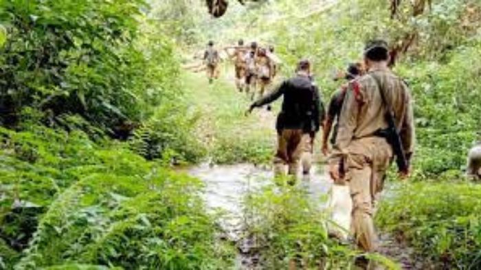 Timber 'smuggler' injured in gunfight in Dehing-Patkai National Park in Assam