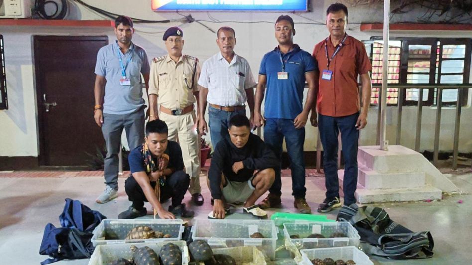 Assam: Railway Protection Force recovers endangered tortoises from Lumding, two held Assam: Railway Protection Force recovers endangered tortoises from Lumding, two held