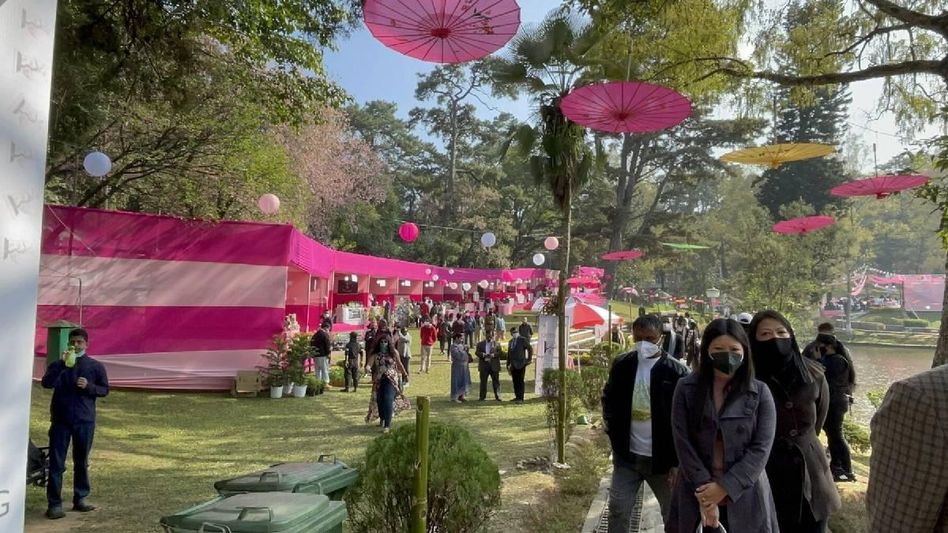 Meghalaya: 'Political motives' behind the cherry blossom controversy, claims state Tourism Minister Meghalaya: 'Political motives' behind the cherry blossom controversy, claims state Tourism Minister