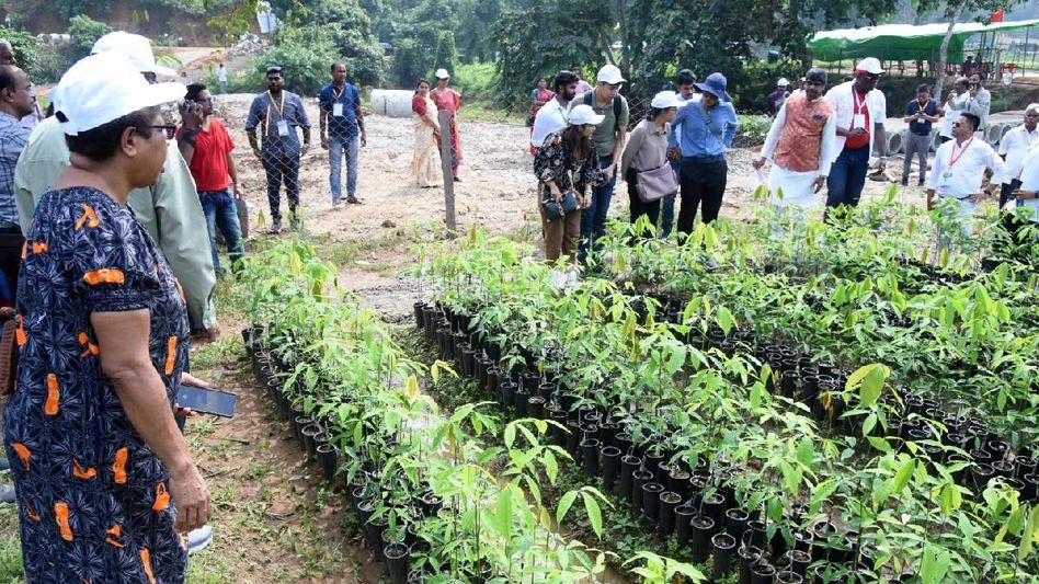 Meghalaya: Global delegation from from 13 countries explores state's rubber nursery Meghalaya: Global delegation from from 13 countries explores state's rubber nursery
