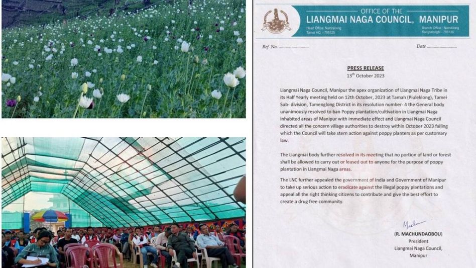 Manipur: Liangmai Naga Council bans poppy cultivation Manipur: Liangmai Naga Council bans poppy cultivation