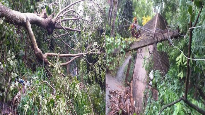 Heavy storm and rain causes massive damage in Guwahati