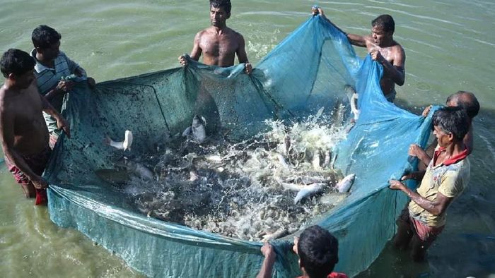 Tripura takes proactive measures to ramp up fish production