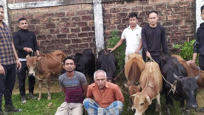 Assam: Karimganj police foils cross-border cattle smuggling, seven cows rescued; two arrested