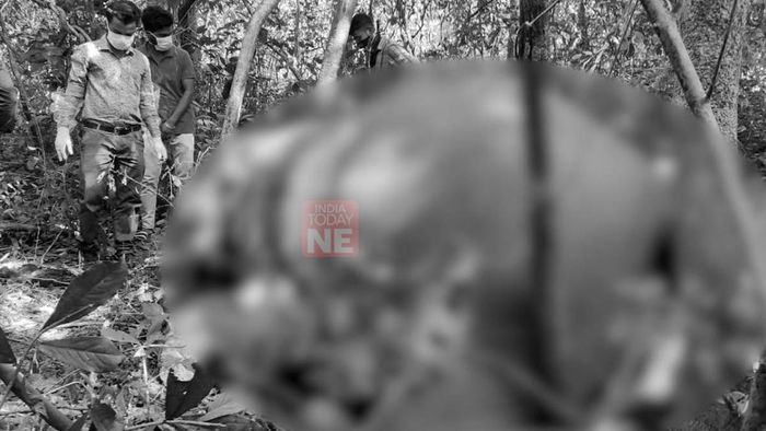 Poachers have reportedly killed an elephant in the Raimona National Park. The elephant's carcass was found in the Kachugaon division of the national park.