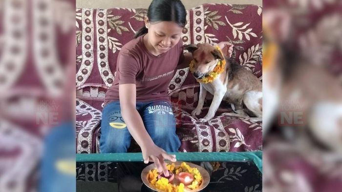 Assam's Gorkha community celebrates the festival of Kukur Tihar as they pamper their dogs with love and snacks.