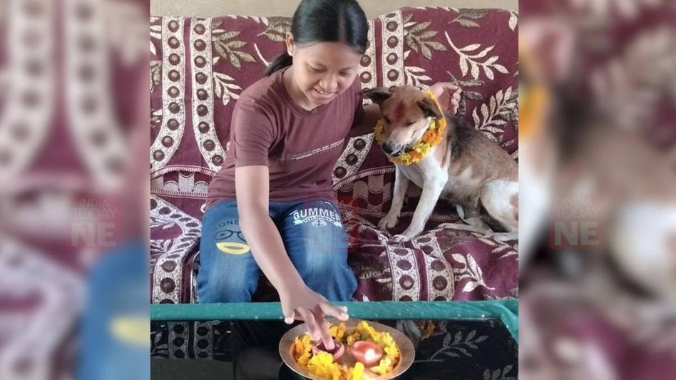 Kukur Tihar celebrated across Assam Kukur Tihar celebrated across Assam