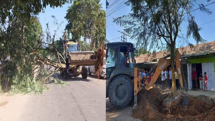 Trees being felled along NH-17 in Boko
