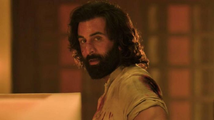 'Animal' to Have Bigger USA Release than 'Brahmastra'