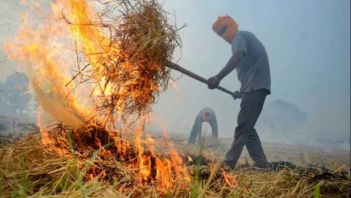 The Supreme Court has pulled up Delhi, Punjab, Uttar Pradesh and Rajasthan governments over stubble burning, saying that Delhi cannot be made to go through severe air pollution year after year.