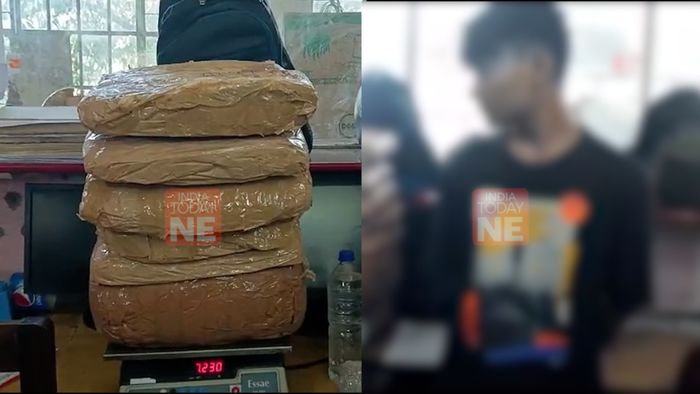 School student apprehended for smuggling drugs through local post office