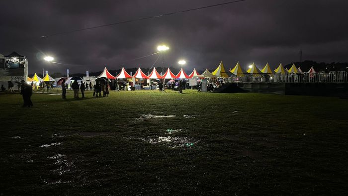 Cold November rain dampens first day of Cherry Blossom Festival