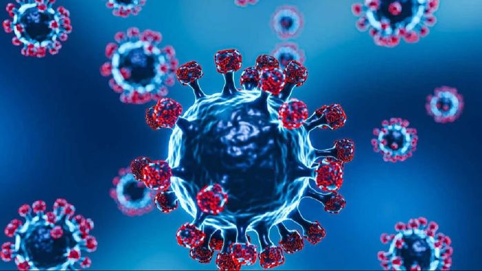 JN.1 Covid variant takes hold in Karnataka, 34 cases confirmed with 3 fatalities