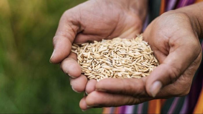 Assam exceeds target, enrolls 42 lakh beneficiaries under NFSA, announces Himanta Biswa Sarma