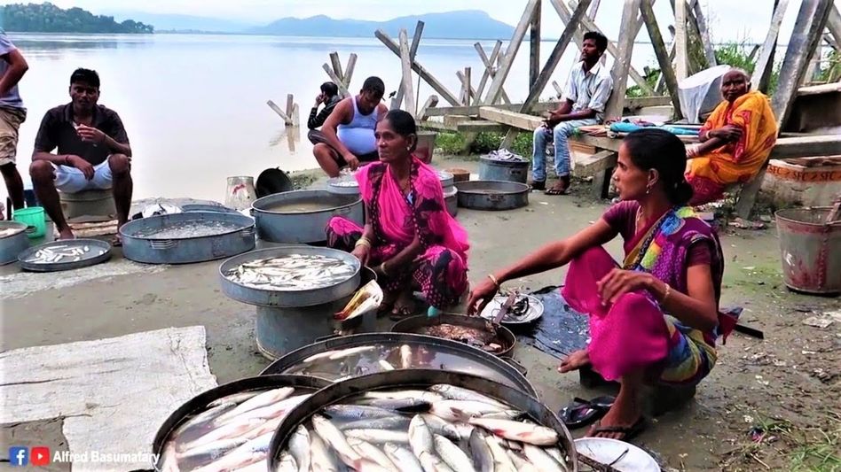 Assam: 2,000 metric tons of fish to arrive in state for Uruka celebration Assam: 2,000 metric tons of fish to arrive in state for Uruka celebration