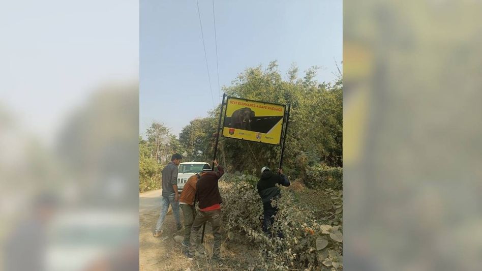 Assam: Signboards to warn of elephants movements put up in sensitive areas Assam: Signboards to warn of elephants movements put up in sensitive areas