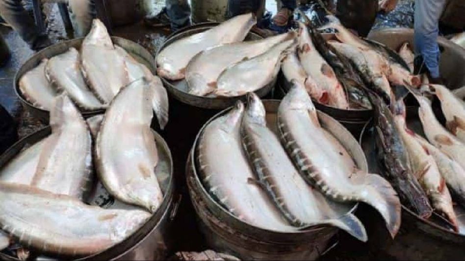 Assam: Fish markets flooded with customers on the occasion of Uruka Assam: Fish markets flooded with customers on the occasion of Uruka