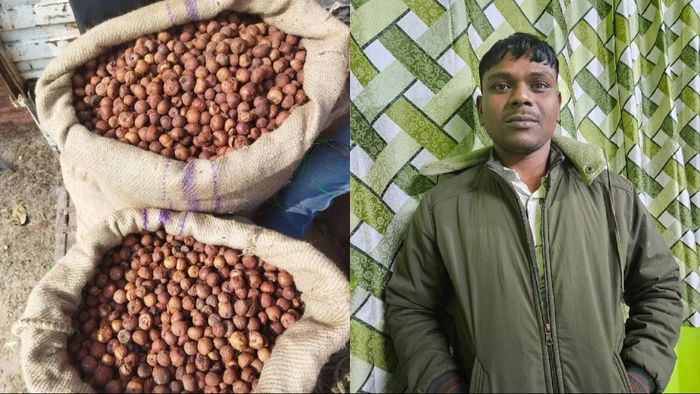 Assam: Dhubri police bust areca nut smuggling operation in Chagolia, one arrested