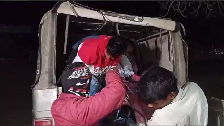 Assam: Elephant attack leaves women seriously injured in Samaguri Assam: Elephant attack leaves women seriously injured in Samaguri