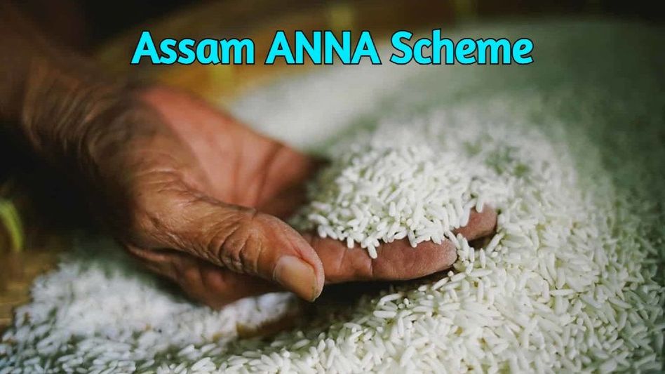 Assam: 69.95 per cent of beneficiaries collect free rice on 5th day of Anna Sewa Din Assam: 69.95 per cent of beneficiaries collect free rice on 5th day of Anna Sewa Din