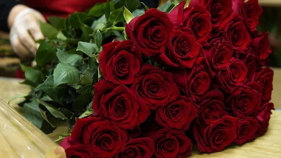 Celebrate Love and Affection: Understanding the Significance of Rose Day Celebrate Love and Affection: Understanding the Significance of Rose Day