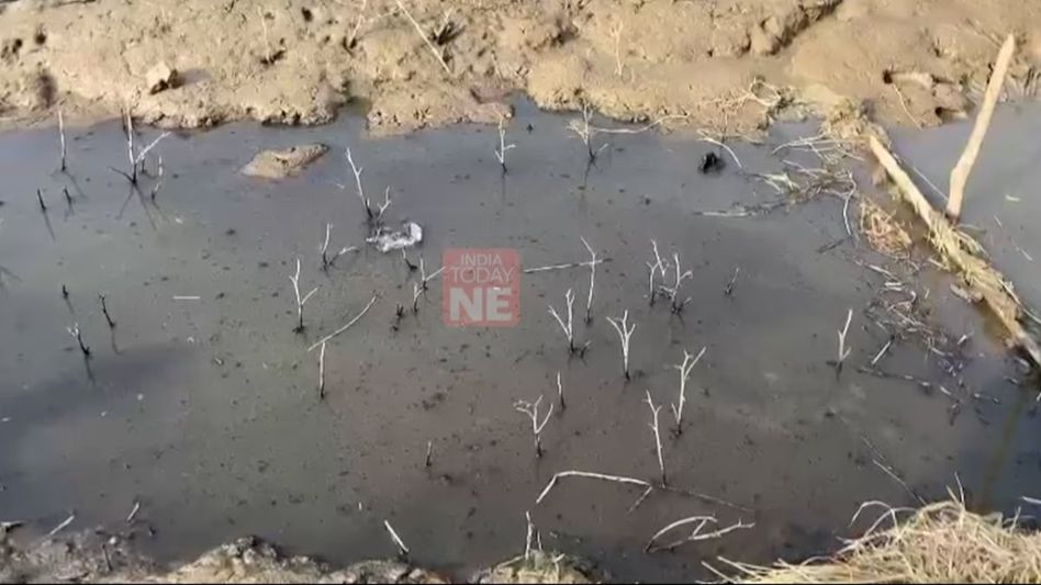 Manipur: COCOMI demands immediate action against group responsible for toxic oil spill in Iril river Manipur: COCOMI demands immediate action against group responsible for toxic oil spill in Iril river