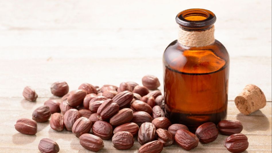 Goodness of Jojoba Oil and its multifaceted benefits Goodness of Jojoba Oil and its multifaceted benefits