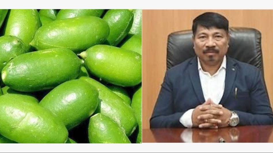 'Citrus Limon' declared as state fruit of Assam, announces Agriculture Minister Atul Bora 'Citrus Limon' declared as state fruit of Assam, announces Agriculture Minister Atul Bora