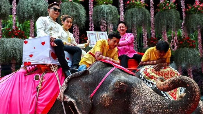 'Better than roses': Thai couple exchange vows atop elephants