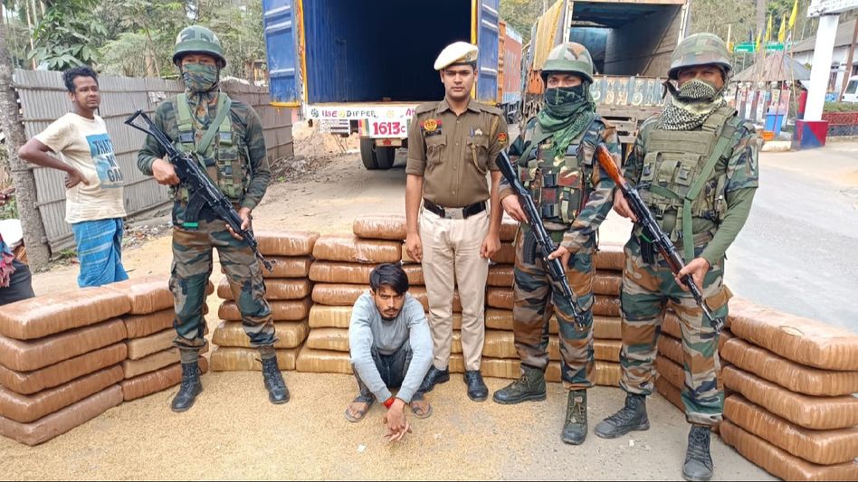 Assam Rifles seize 434 kg of marijuana worth Rs 1.736 crore in Tripura Assam Rifles seize 434 kg of marijuana worth Rs 1.736 crore in Tripura