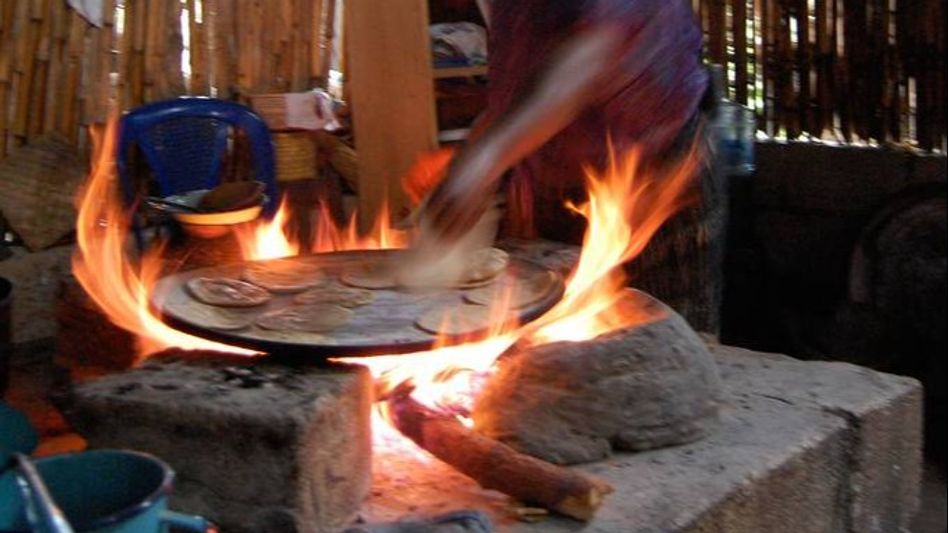 IIT study says, 50 per cent of rural population in Assam, Arunachal, Meghalaya uses traditional fuels for cooking  IIT study says, 50 per cent of rural population in Assam, Arunachal, Meghalaya uses traditional fuels for cooking