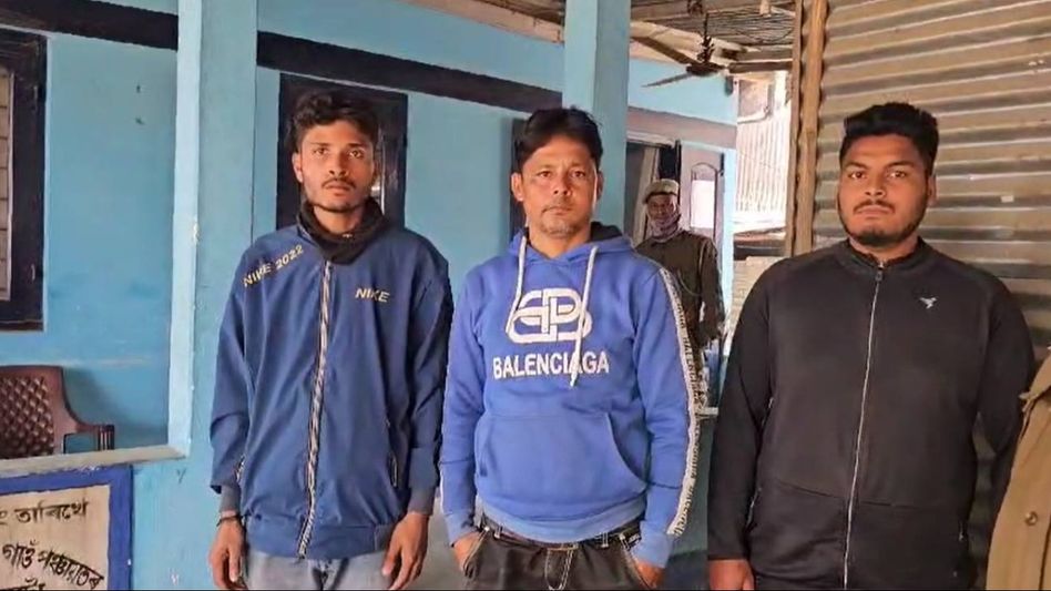 Assam: Three youths apprehended while trying to sell stolen cattle Assam: Three youths apprehended while trying to sell stolen cattle