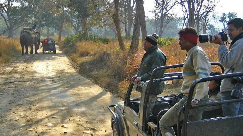 Supreme Court: Permission needed to set up zoo and safari in forests Supreme Court: Permission needed to set up zoo and safari in forests