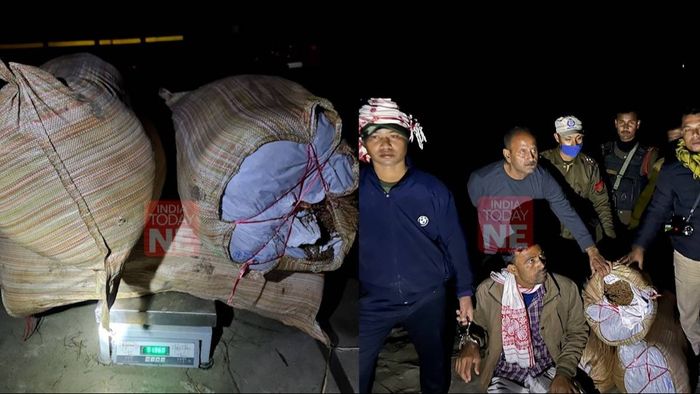 Assam police seize 92 kgs of suspected cannabis in Morigaon, one arrested