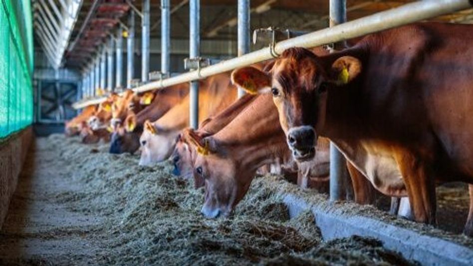 Union Cabinet approves inclusion of additional activities in National Livestock Mission Union Cabinet approves inclusion of additional activities in National Livestock Mission