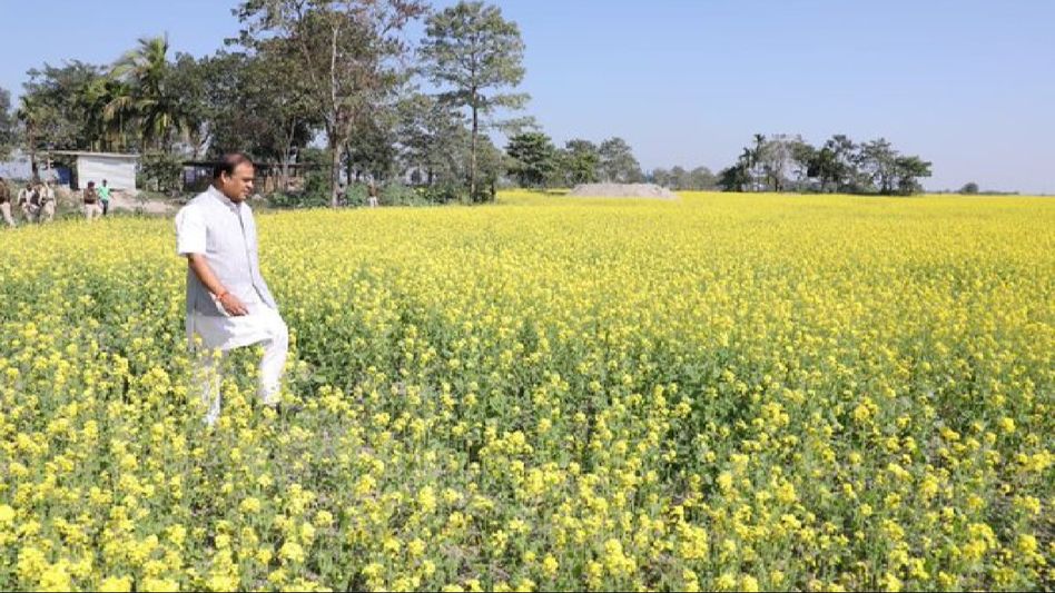Assam CM Himanta Biswa Sarma lauds Garukhuti project, terms it as a boost to state's prosperity Assam CM Himanta Biswa Sarma lauds Garukhuti project, terms it as a boost to state's prosperity