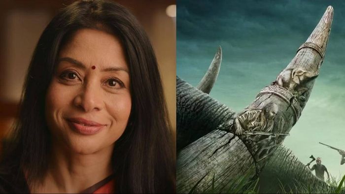 New and Original OTT Content Releases This Week