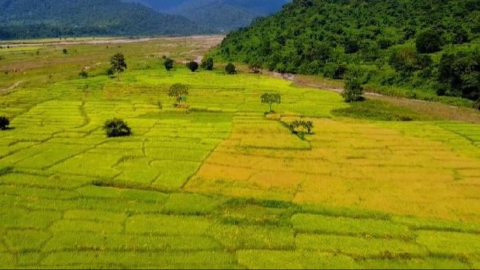 Bodoland's Unexplored Gems : Must-visit tourists spots