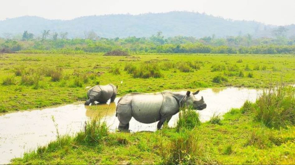 Assam tourism surges in 2023: Domestic and international tourist footfall increases remarkably Assam tourism surges in 2023: Domestic and international tourist footfall increases remarkably