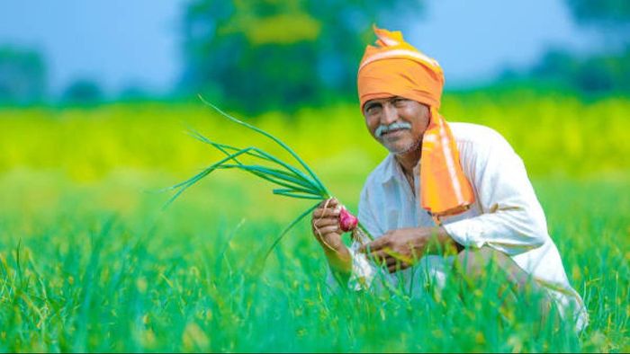 Cabinet approves Nutrient Based Subsidy rates for Kharif season 2024
