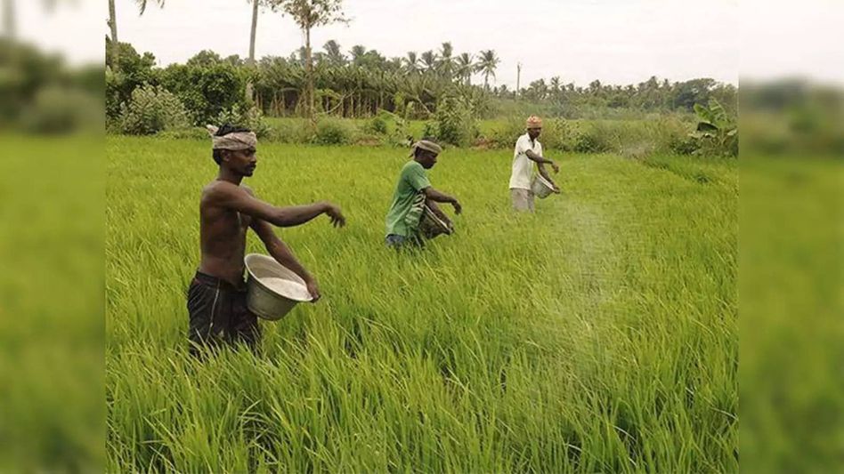 Assam: New World Bank programme to improve strengthen connectivity in rural areas Assam: New World Bank programme to improve strengthen connectivity in rural areas