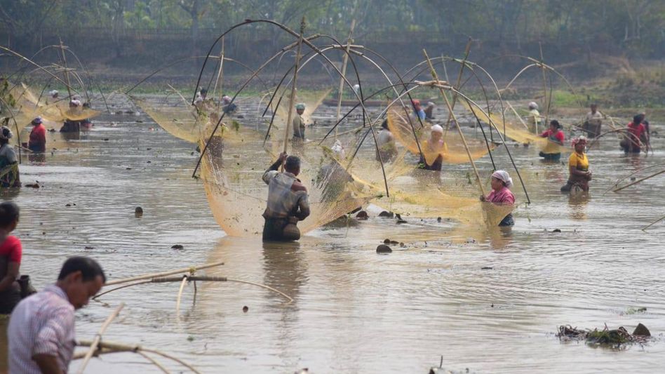 Assam: People come together for community fishing at Moiham Beel in Boko Assam: People come together for community fishing at Moiham Beel in Boko