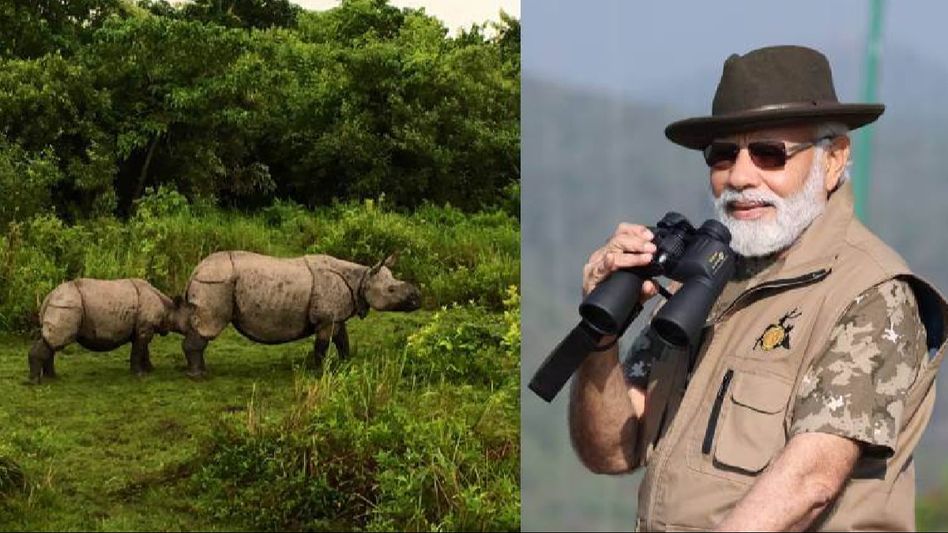 Assam: Jeep, elephant safaris to remain shut in Kaziranga's Kohora range on account of PM Modi's visit Assam: Jeep, elephant safaris to remain shut in Kaziranga's Kohora range on account of PM Modi's visit