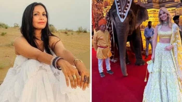 Maria Goretti, Anant Ambani, Radhika Merchant, pre-wedding celebrations, animal treatment, ethical concerns, event planning